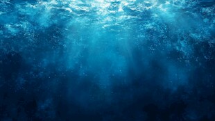 深海光影 梦幻水下世界