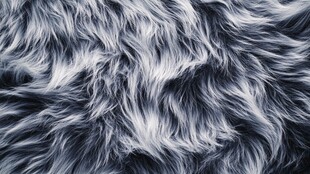 灰白发丝般毛绒面料纹理