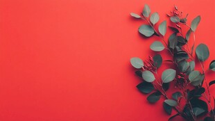 红底上的清新桉树枝叶