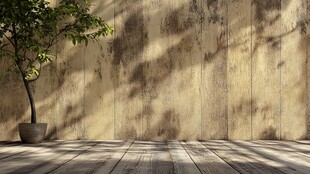 室内树影斑驳的静谧空间