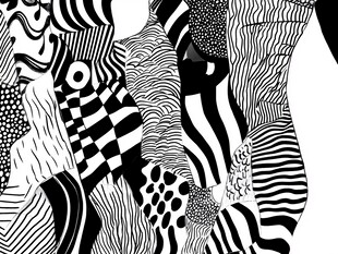 黑白抽象图案艺术插画