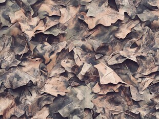 枯叶迷彩图案纹理背景