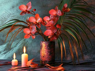 红兰烛光营造温馨氛围