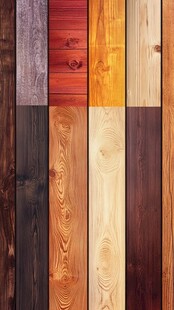 多样木材纹理展示