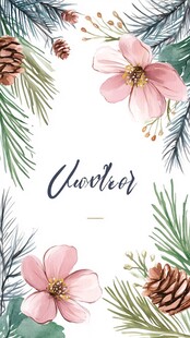 花卉松果装饰的清新插画