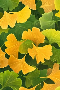 银杏叶的绚丽色彩世界