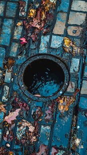 铺满落叶的蓝色砖石下水道口