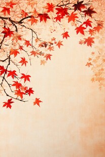 秋日红枫树枝优美景致