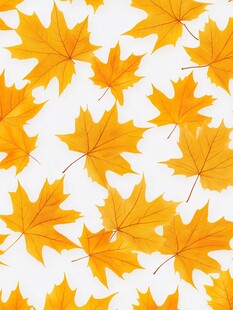 金黄枫叶无缝图案背景