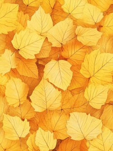 金黄秋叶铺满画面