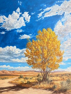 旷野孤树绘就秋日美景