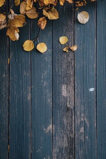 秋意木板上的斑斓落叶