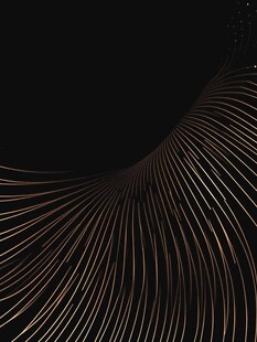 黑色背景上的金色线条纹理