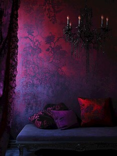 神秘奢华的复古室内角落