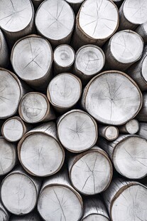 整齐堆叠的圆木切面