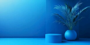 蓝色空间中的绿植与圆台