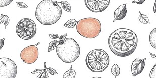 手绘柑橘类水果图案背景