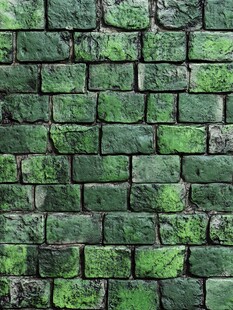 绿色苔藓覆盖的复古砖墙