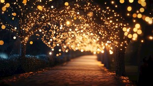 梦幻灯光小路营造浪漫氛围