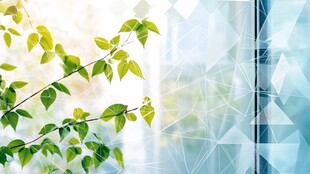 窗边嫩绿枝叶与几何背景