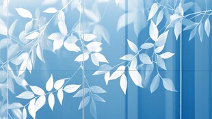 蓝底白叶简约清新图案