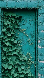 爬满常春藤的复古绿门