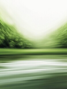 绿意盎然的自然风景画面