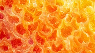 蜜柚果肉特写纹理诱人