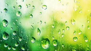 晶莹雨珠装点翠绿背景