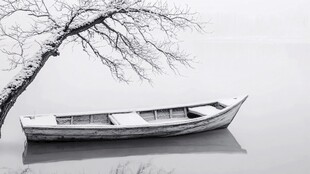 雪覆孤舟静立寒江