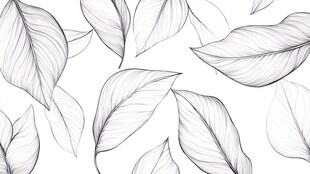 手绘叶片简约线条图案