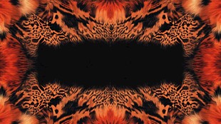 火焰纹理对称抽象艺术图案