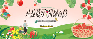 草莓采摘活动