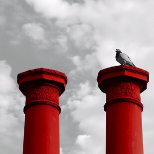 红柱上的鸽子与多云天空