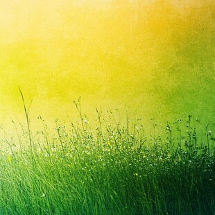 春日绿野清新草景