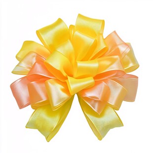 多彩绸缎蝴蝶结装饰