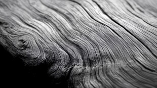 木纹肌理 岁月雕琢的纹路