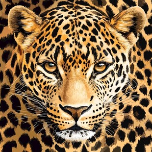 豹之凝视 野性魅力尽显