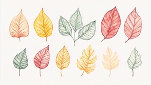 手绘多彩秋叶插画集合