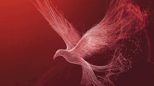 红色粒子特效飞翔的鸟