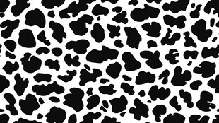 黑白奶牛斑点图案背景