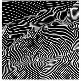 黑白线条构成的动感抽象图案