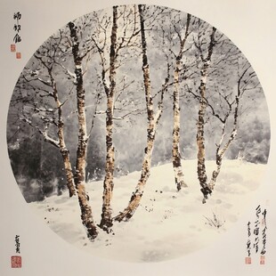 雪覆桦林图