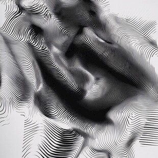 黑白线条扭曲抽象艺术图