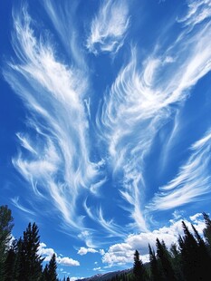 蓝天下的梦幻卷云景观