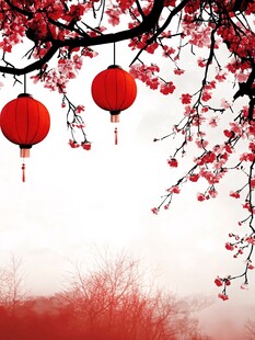 红灯笼映红梅春意浓
