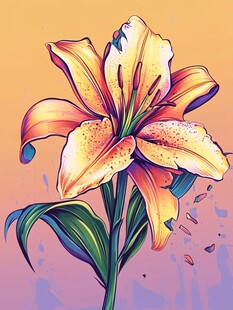 绚丽绽放的梦幻百合花