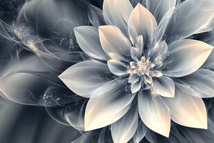 梦幻银色花朵抽象艺术图