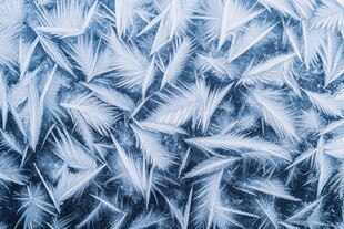 冰窗花的绝美纹理