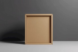 空相框展示 简约背景效果